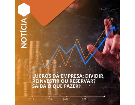 Lucros da Empresa: Dividir, Reinvestir ou Reservar? Saiba o Que Fazer!