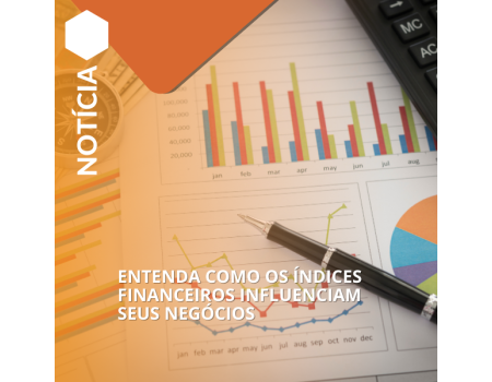 Entenda como os Índices Financeiros Influenciam Seus Negócios