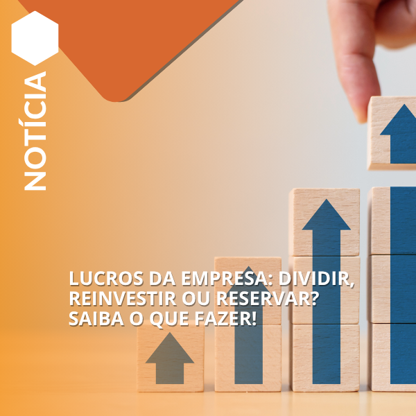 LUCROS DA EMPRESA: DIVIDIR, REINVESTIR OU RESERVAR? SAIBA O QUE FAZER! LUCROS DA EMPRESA: DIVIDIR, REINVESTIR OU RESERVAR? SAIBA O QUE FAZER!