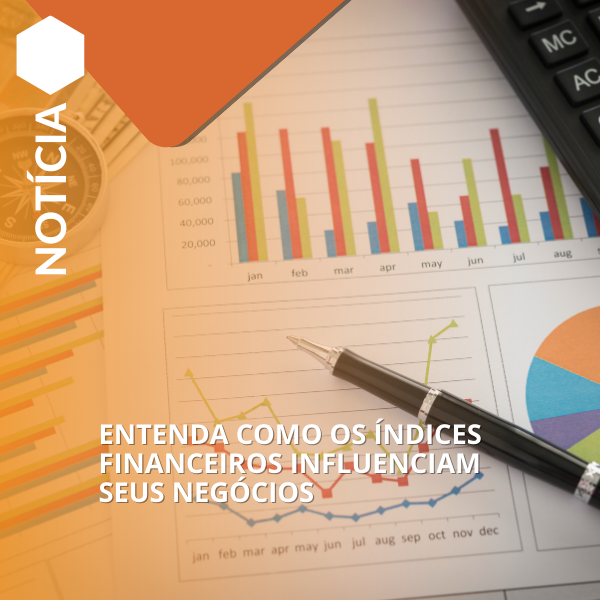 Entenda como os Índices Financeiros Influenciam Seus Negócios